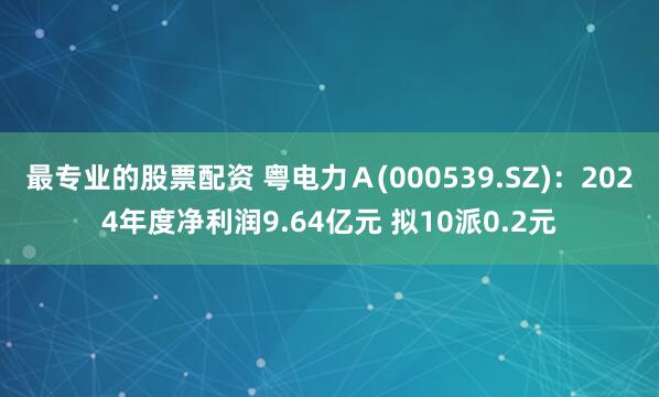 最专业的股票配资 粤电力Ａ(000539.SZ)：2024年度净利润9.64亿元 拟10派0.2元