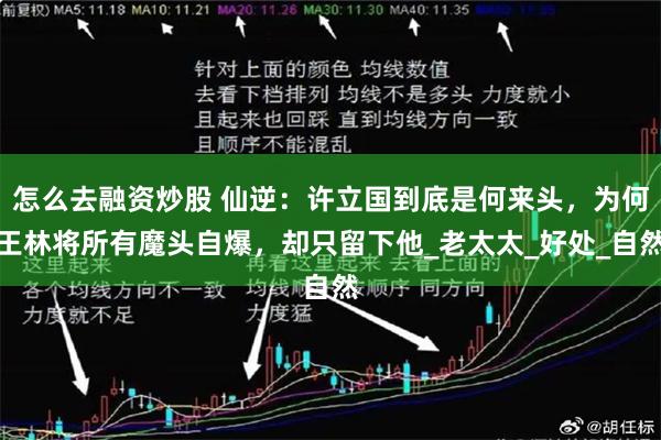 怎么去融资炒股 仙逆：许立国到底是何来头，为何王林将所有魔头自爆，却只留下他_老太太_好处_自然