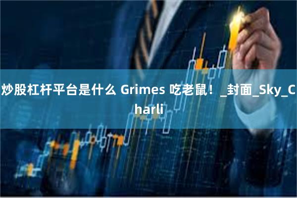 炒股杠杆平台是什么 Grimes 吃老鼠！_封面_Sky_Charli