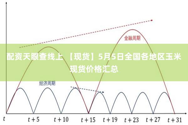 配资天眼查线上 【现货】5月5日全国各地区玉米现货价格汇总