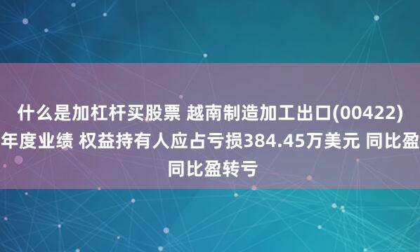 什么是加杠杆买股票 越南制造加工出口(00422)发布年度业绩 权益持有人应占亏损384.45万美元 同比盈转亏