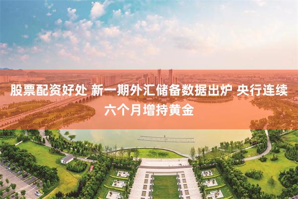 股票配资好处 新一期外汇储备数据出炉 央行连续六个月增持黄金