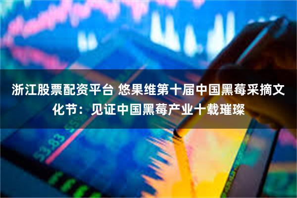 浙江股票配资平台 悠果维第十届中国黑莓采摘文化节：见证中国黑莓产业十载璀璨