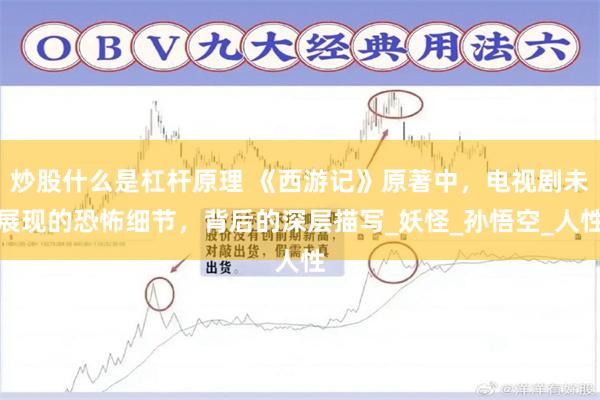 炒股什么是杠杆原理 《西游记》原著中，电视剧未展现的恐怖细节，背后的深层描写_妖怪_孙悟空_人性