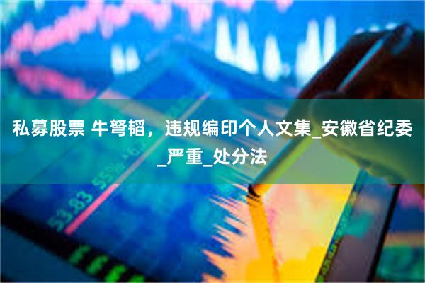 私募股票 牛弩韬，违规编印个人文集_安徽省纪委_严重_处分法