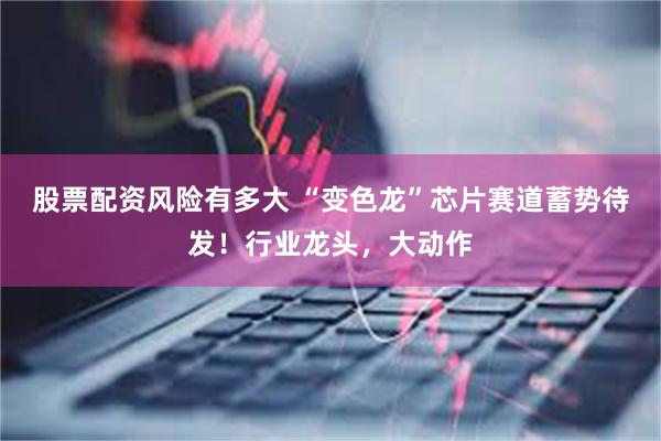 股票配资风险有多大 “变色龙”芯片赛道蓄势待发！行业龙头，大动作