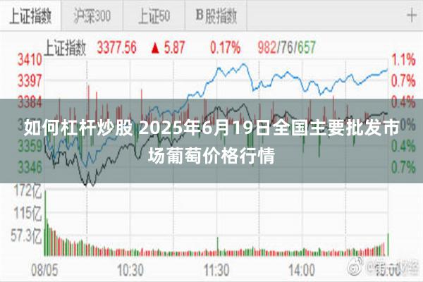 如何杠杆炒股 2025年6月19日全国主要批发市场葡萄价格行情